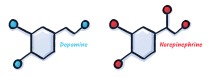 Illustration of two molecules, dopamine and norepinephrine