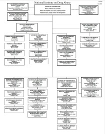 Org Chart - see PDF