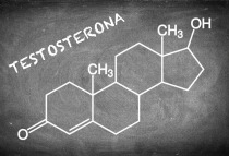 Imagen de la estructura química de la testosterona