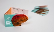 Drugs and the Brain Wallet Card