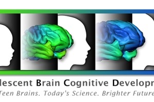 ABCD logo - brains at various levels of development according to age