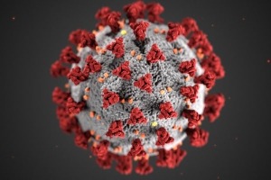 Illustration of the coronavirus