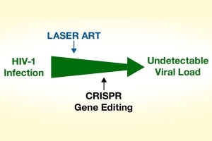 HIV-1 could be eliminated in mice using a combination of two antiviral technologies—long-acting viral reservoir–targeted antiretroviral therapy and CRISPR/Cas-9 gene editing.
