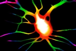 Neuron Illustration Ilustración de una neurona