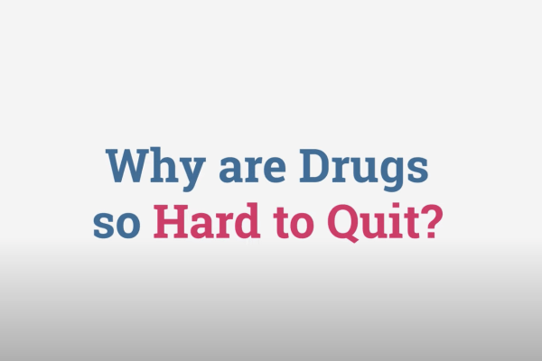 Why Are Drugs So Hard To Quit? Kahoot!