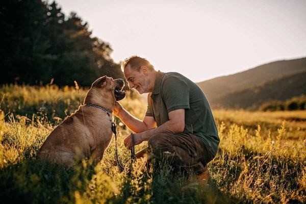 Vista de perfil de un hombre mayor arrodillado, sonriendo a su perro y acariciándolo. Están en un prado con altas colinas al fondo.