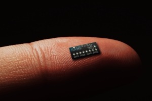 Close-up of computer chip on tip of index finger