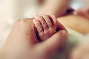 Close-up of parent holding hand of newborn baby