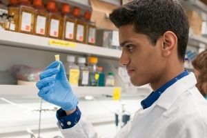 IRP researcher examining a vial