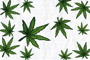 Illustration of marijuana leaves