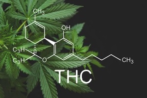 THC chemical structure over a marijuana leaf