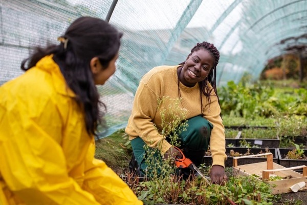 Two women working in a garden