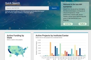 Home page of NIH Reporter site