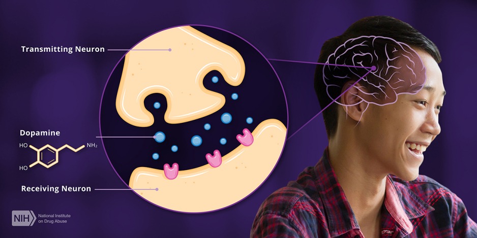 Illustration of the brain releasing the chemical dopamine. 