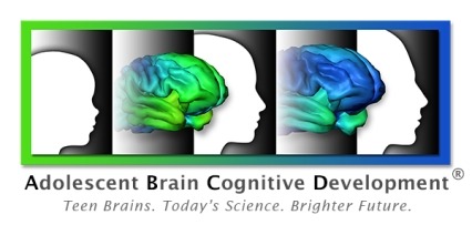 ABCD logo - brains at various levels of development according to age